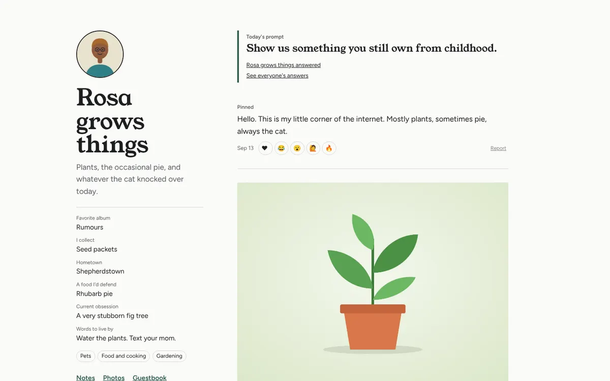 Rosa grows things: a calm site with plants and pie